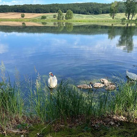 Chaty U Žabáka Netolice Esterno foto